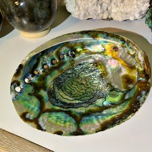 Large Natural Abalone Shell Bowl – High Iridescence – Polished Interior